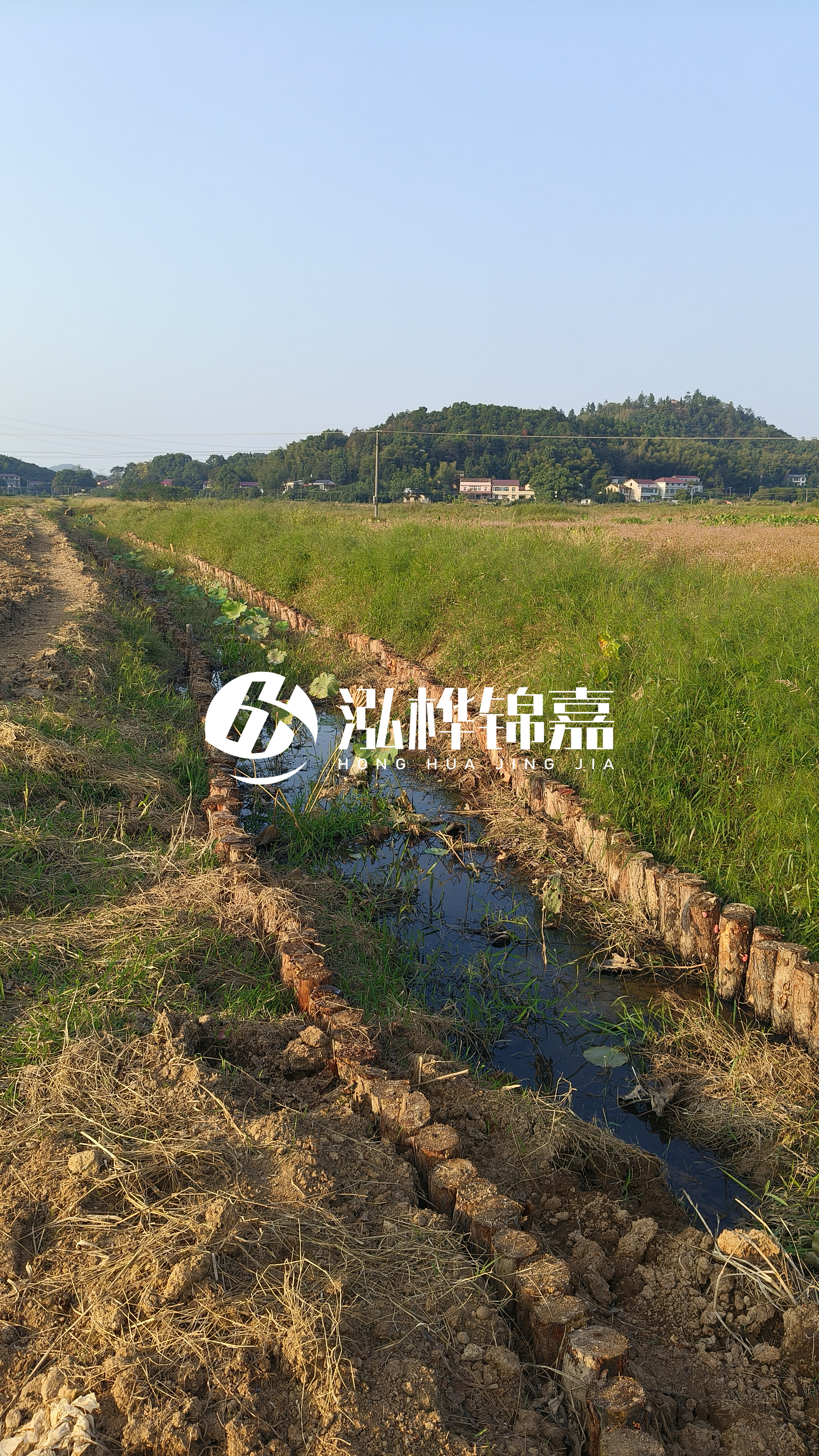 河道護坡打木樁的目的全解析：你知道幾個？